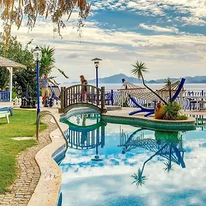 book here